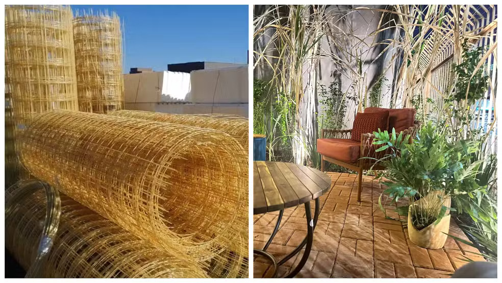 Uso de fibra de vidro e cana-de-açúcar está entre as novidades do setor de arquitetura e urbanismo no interior de SP